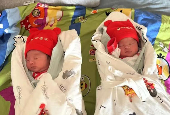 内乡代怀助孕机构双胞胎